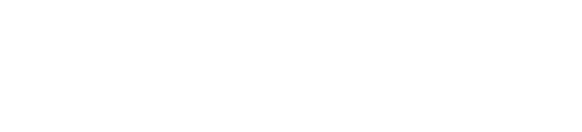 VESOT